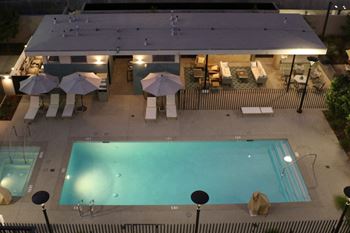 Large swimming pool and spa